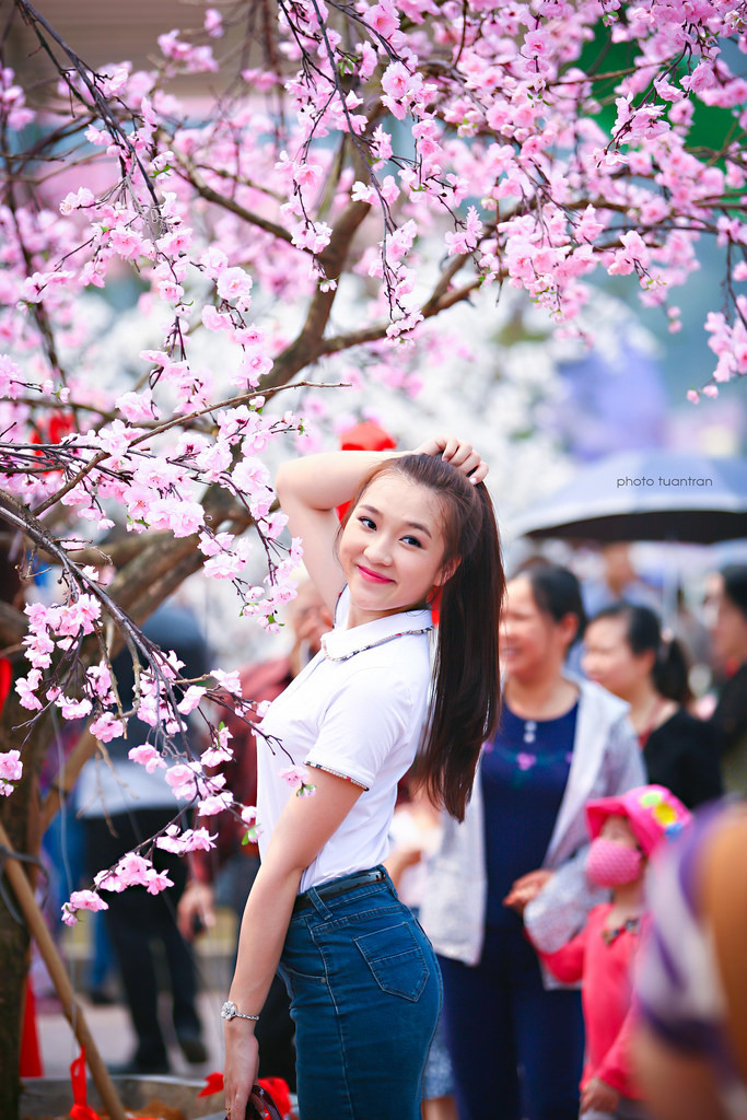 我们的美好生活综艺免费观看